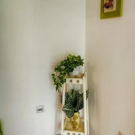 شقة Damir سومارتين