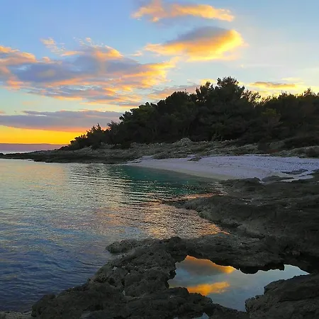 Damir Διαμέρισμα *