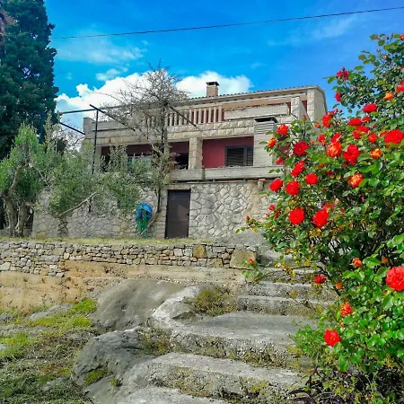 Damir Διαμέρισμα