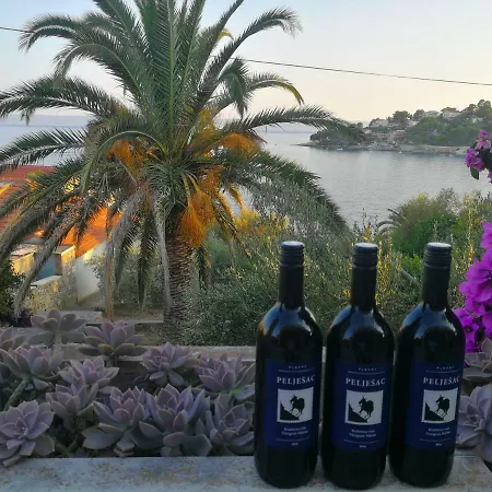 Διαμέρισμα Damir *