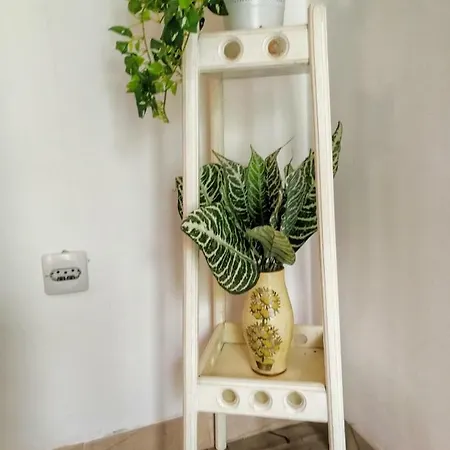 Damir Διαμέρισμα *